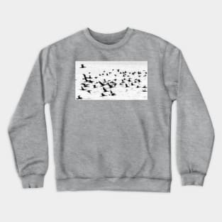 Birds in motion - flight. Crewneck Sweatshirt